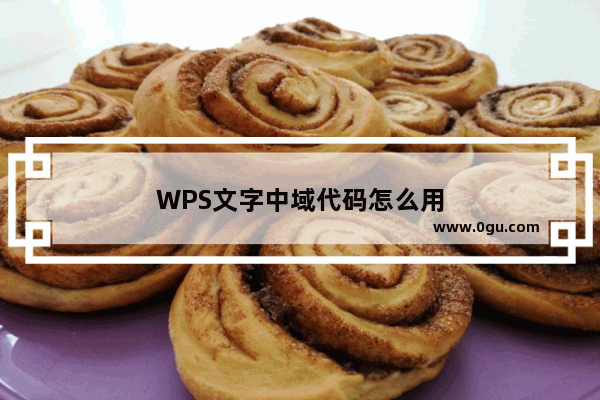 WPS文字中域代码怎么用