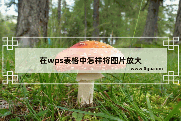 在wps表格中怎样将图片放大