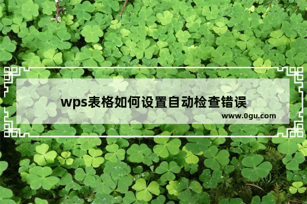 wps表格如何设置自动检查错误