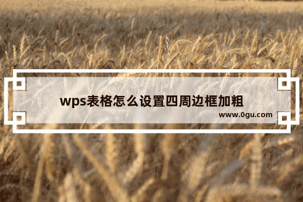 wps表格怎么设置四周边框加粗