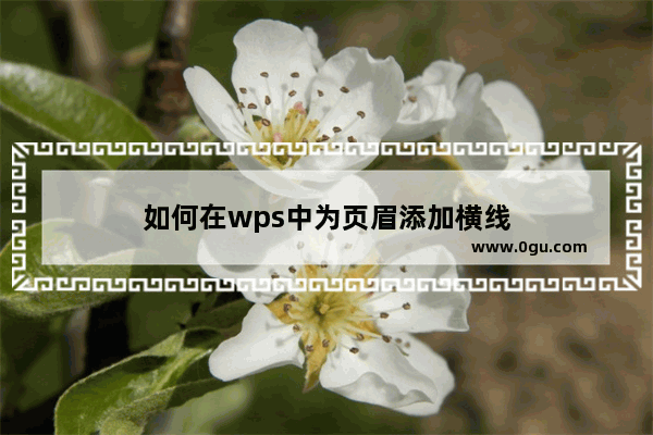 如何在wps中为页眉添加横线