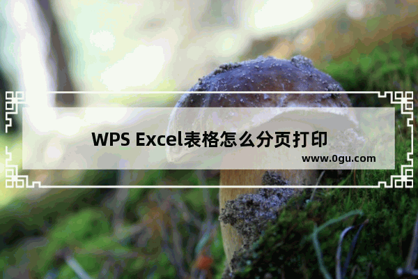 WPS Excel表格怎么分页打印