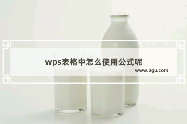 wps表格中怎么使用公式呢