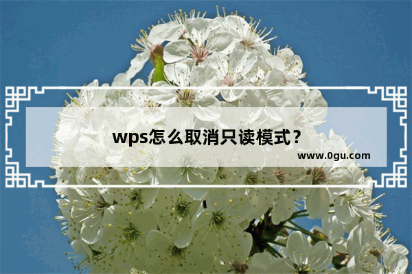 wps怎么取消只读模式？