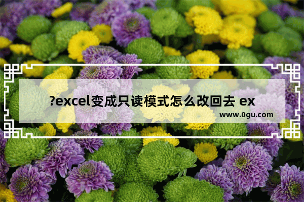 ?excel变成只读模式怎么改回去 excel表格取消只读模式的方法