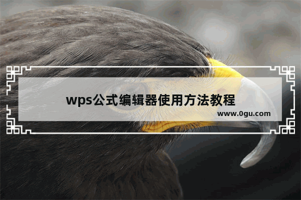 wps公式编辑器使用方法教程