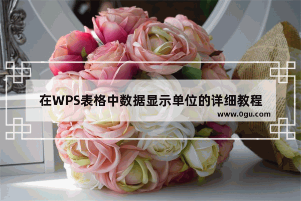 在WPS表格中数据显示单位的详细教程