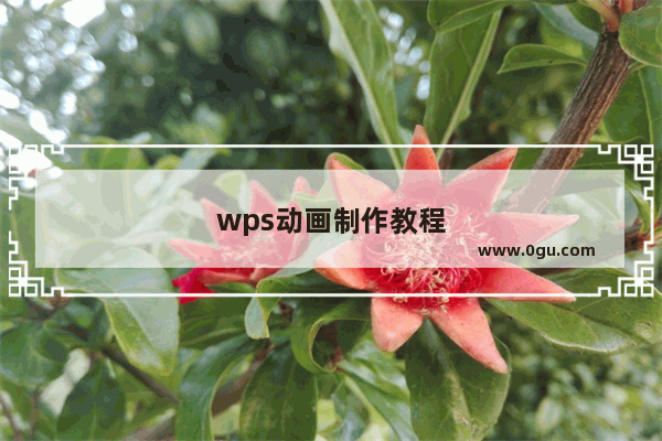 wps动画制作教程