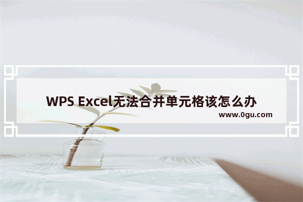 WPS Excel无法合并单元格该怎么办