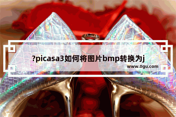 ?picasa3如何将图片bmp转换为jpg ?picasa3将图片bmp转换为jpg的方法