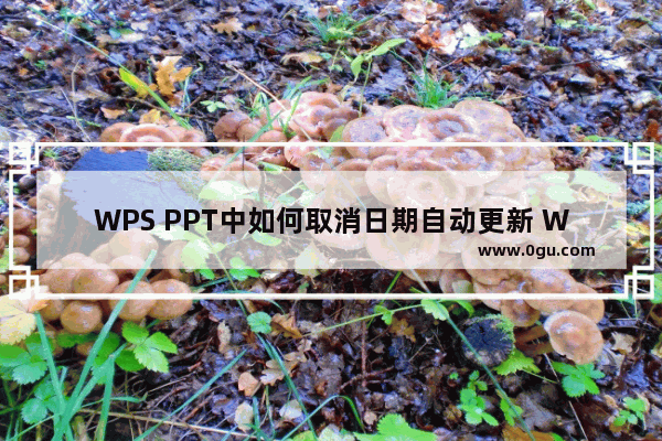 WPS PPT中如何取消日期自动更新 WPS PPT中设置日期不自动更新的方法