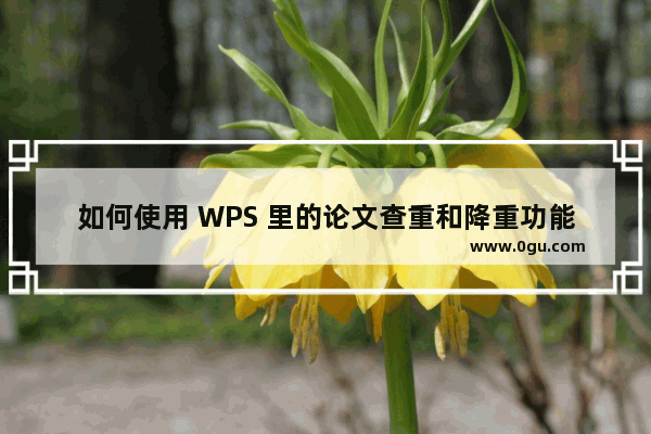 如何使用 WPS 里的论文查重和降重功能