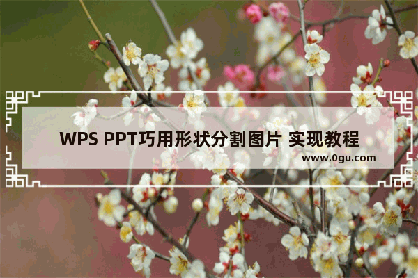 WPS PPT巧用形状分割图片 实现教程