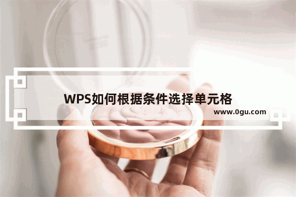 WPS如何根据条件选择单元格