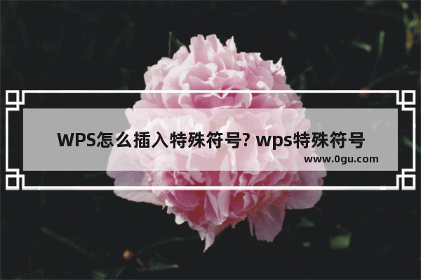 WPS怎么插入特殊符号? wps特殊符号的输入方法