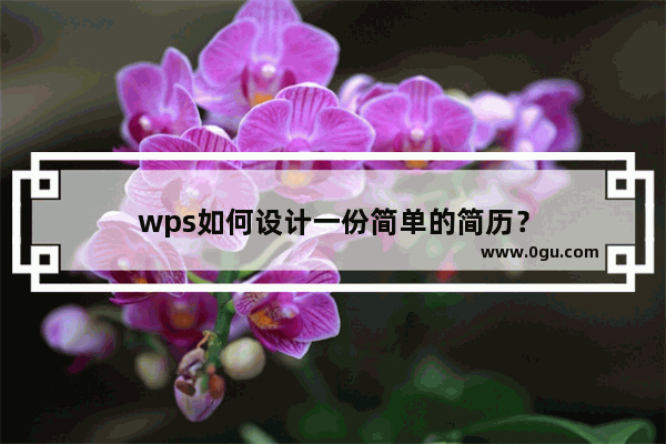 wps如何设计一份简单的简历？