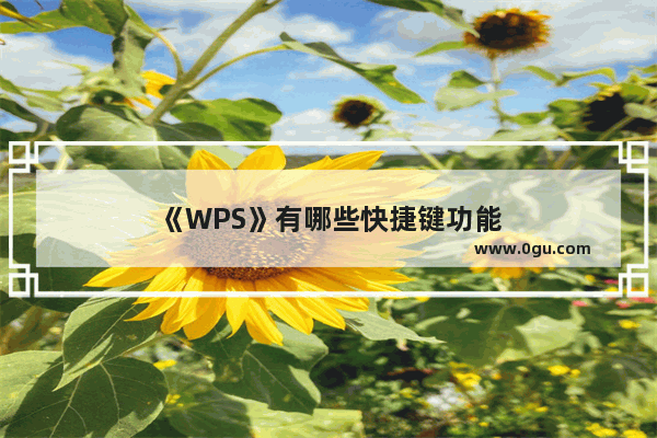 《WPS》有哪些快捷键功能