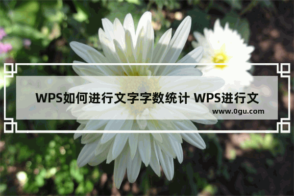 WPS如何进行文字字数统计 WPS进行文字字数统计的操作方法分享