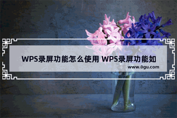 WPS录屏功能怎么使用 WPS录屏功能如何使用