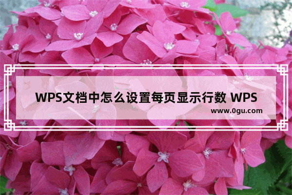 WPS文档中怎么设置每页显示行数 WPS文档中设置每页显示行数的方法分享