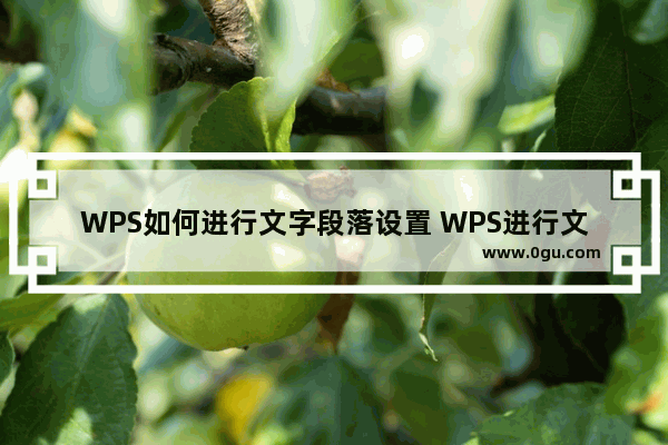 WPS如何进行文字段落设置 WPS进行文字段落设置的操作方法教学