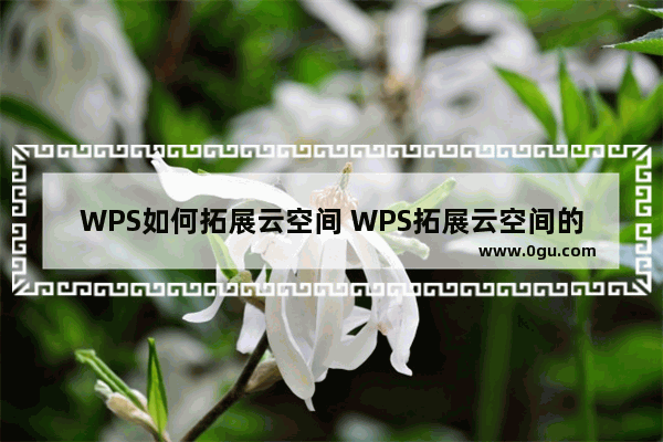 WPS如何拓展云空间 WPS拓展云空间的操作方法教学