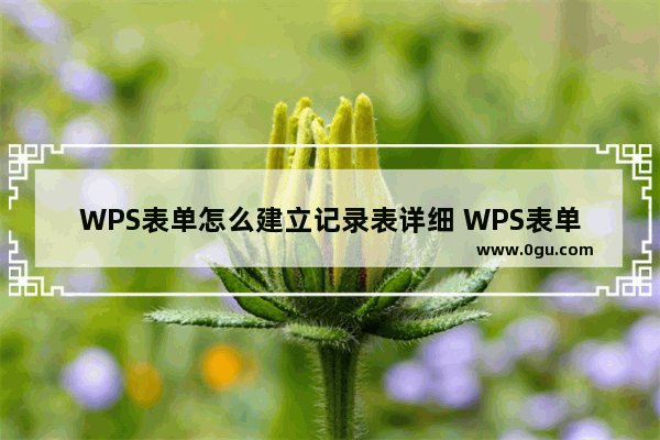 WPS表单怎么建立记录表详细 WPS表单建立记录表详细操作步骤教学