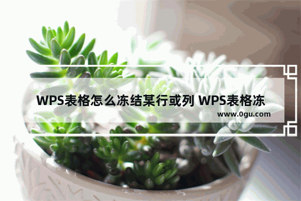 WPS表格怎么冻结某行或列 WPS表格冻结某行或列操作方法教学