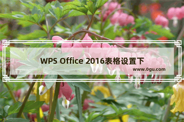 WPS Office 2016表格设置下拉选项的操作步骤