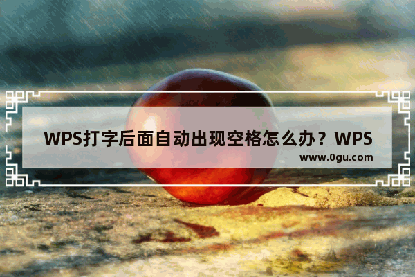 WPS打字后面自动出现空格怎么办？WPS打字自动产生空格解决方法