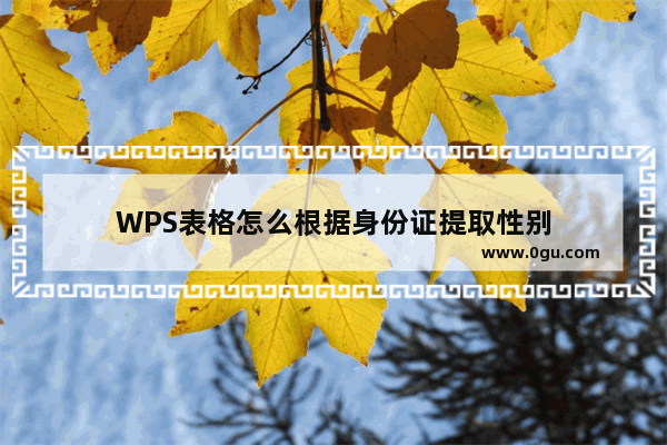 WPS表格怎么根据身份证提取性别