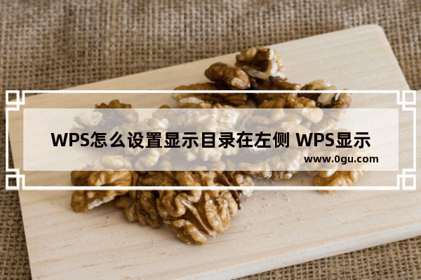 WPS怎么设置显示目录在左侧 WPS显示目录在左侧的方法