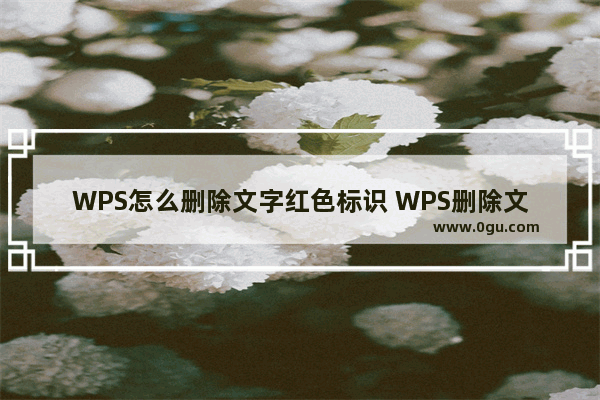 WPS怎么删除文字红色标识 WPS删除文字红色标识的教程