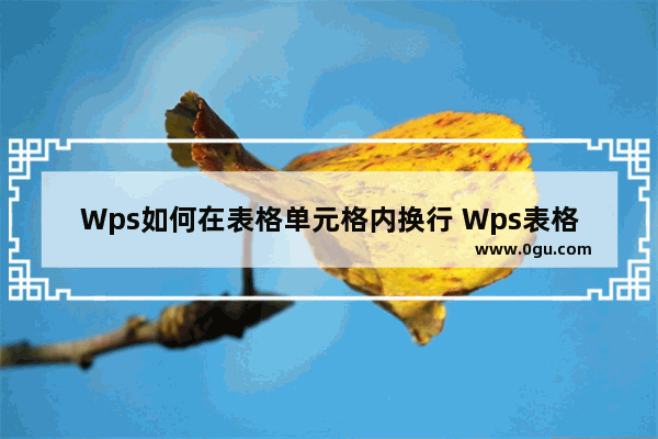 Wps如何在表格单元格内换行 Wps表格单元格内换行方法