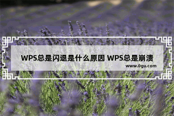 WPS总是闪退是什么原因 WPS总是崩溃怎么处理解决方法教学