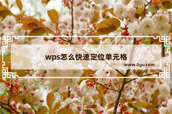 wps怎么快速定位单元格