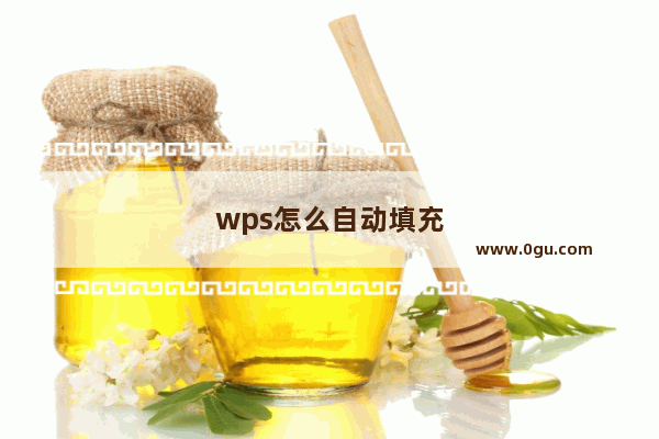 wps怎么自动填充