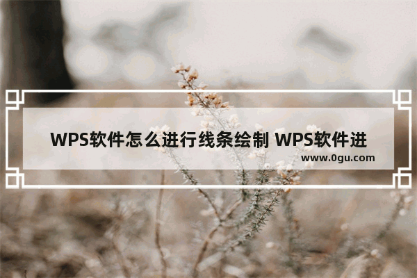 WPS软件怎么进行线条绘制 WPS软件进行线条绘制操作方法教学