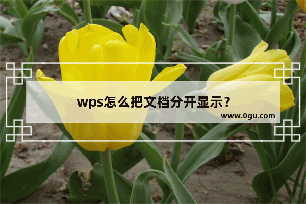 wps怎么把文档分开显示？