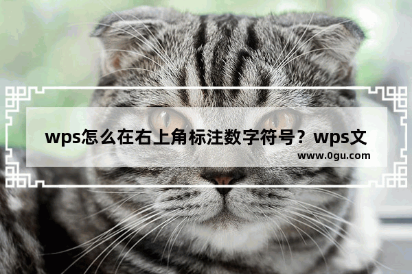 wps怎么在右上角标注数字符号？wps文字右上角小数字怎么打出来教程