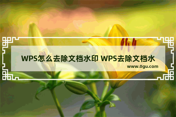 WPS怎么去除文档水印 WPS去除文档水印教程