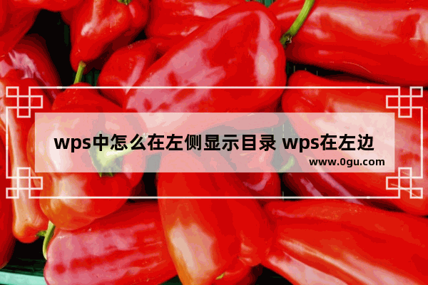 wps中怎么在左侧显示目录 wps在左边显示目录的方法教程