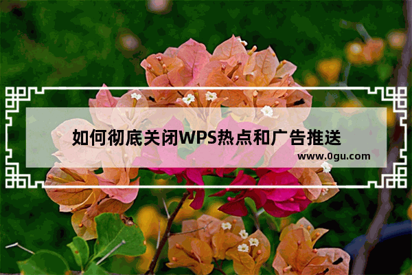 如何彻底关闭WPS热点和广告推送