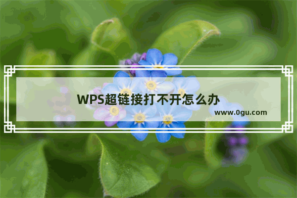 WPS超链接打不开怎么办