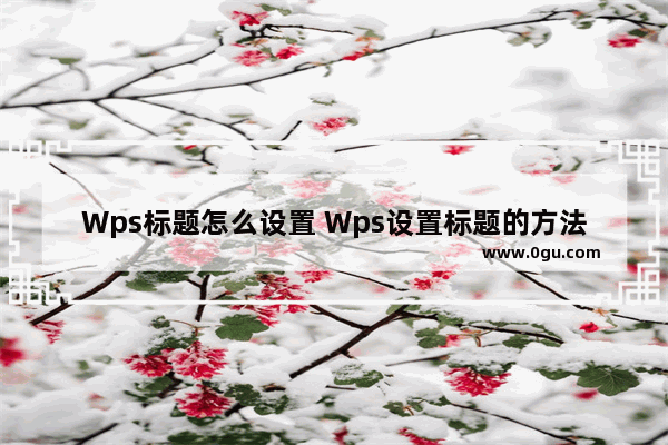 Wps标题怎么设置 Wps设置标题的方法