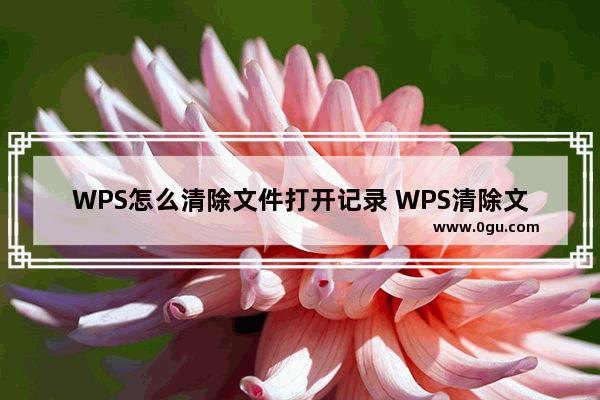 WPS怎么清除文件打开记录 WPS清除文件打开记录方法