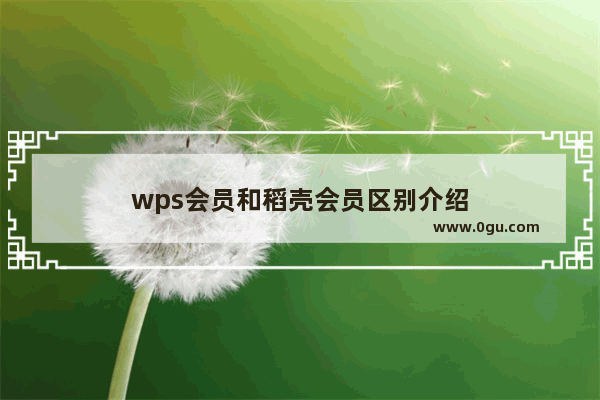 wps会员和稻壳会员区别介绍