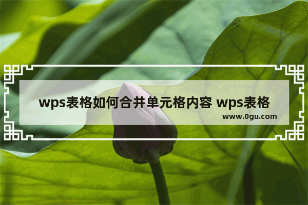 wps表格如何合并单元格内容 wps表格两列内容合并到一起教程