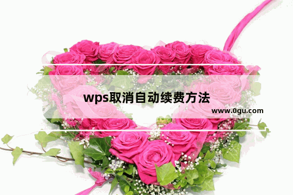 wps取消自动续费方法