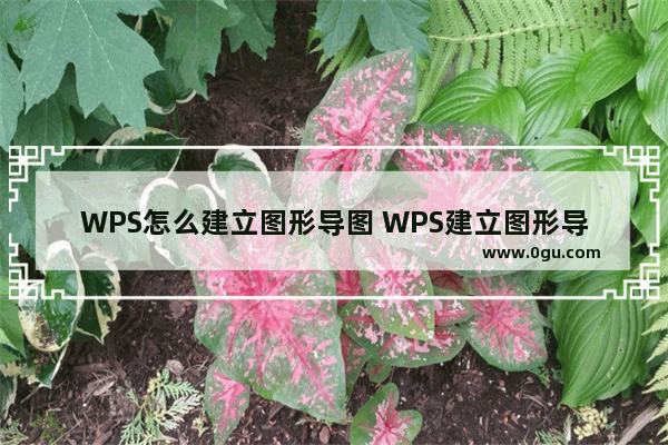 WPS怎么建立图形导图 WPS建立图形导图操作方法